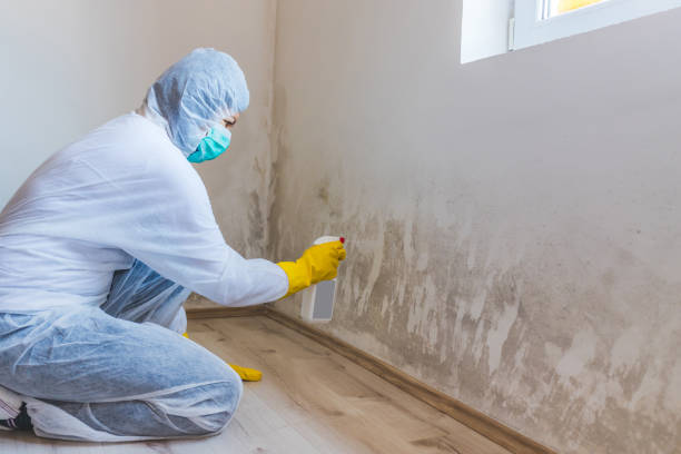 Bathroom Mold Removal assessment in Pipersville bathroom